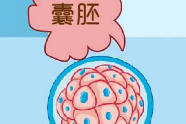 月经干净2-3天做宫腔镜检查