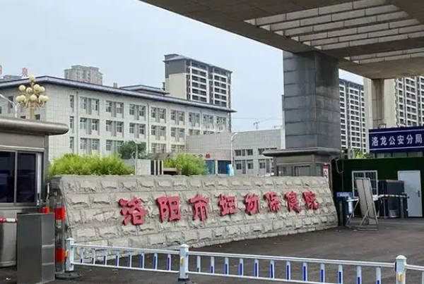 洛阳市妇幼保健院可做人工授精