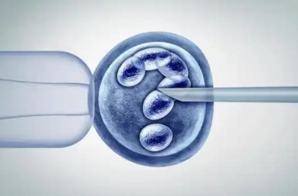 北京试管婴儿全攻略，一步步解析流程与实用贴士