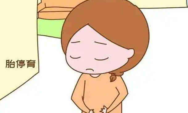 胎儿对致畸物质非常敏感