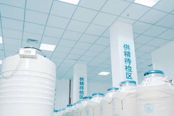 详解国内到精子库购买精子的流程，2025年供精试管医院导航