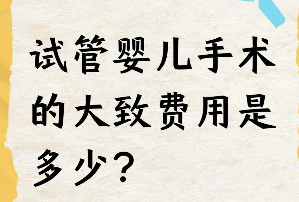 胚胎移植费用受患者年龄的影响