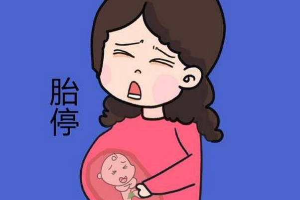 有遗传病做三代试管婴儿能不能避免怀孕后出现胎停的情况？