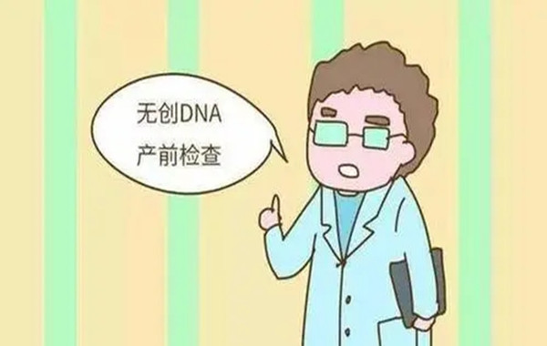 孕11周做完无创dna没时间去医院自己怎么在网上查询结果？