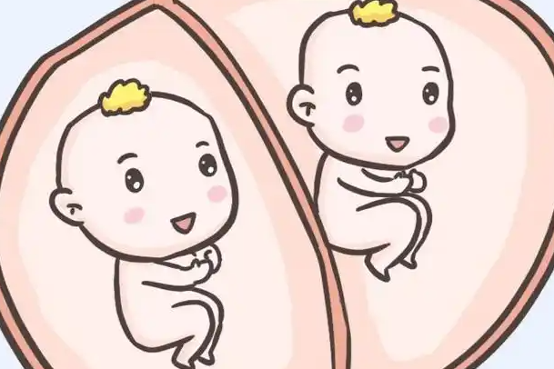 成都私立医院做试管生一对龙凤胎需要多少钱？