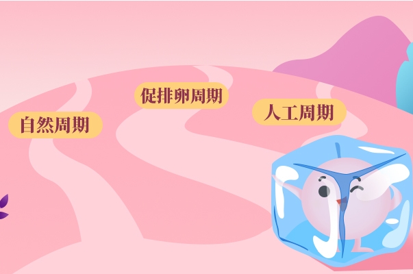 自然周期和人工周期的使用时间不同