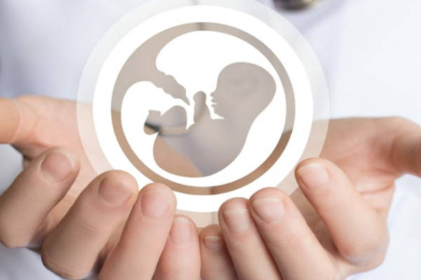 天津2025年供精试管婴儿费用多少，解说供精试管费用报销政策