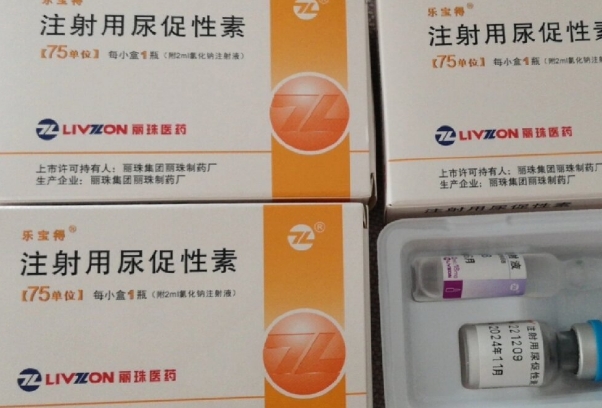卵泡的质量会影响怀孕的几率