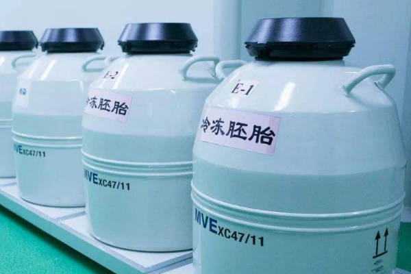 胚胎冷冻一年的费用约为46,000 美元
