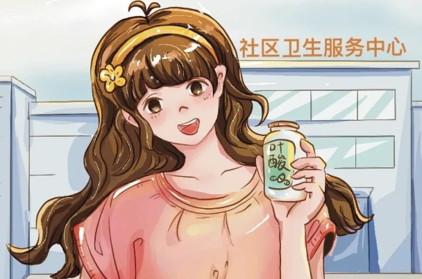 备孕期间可以补充叶酸