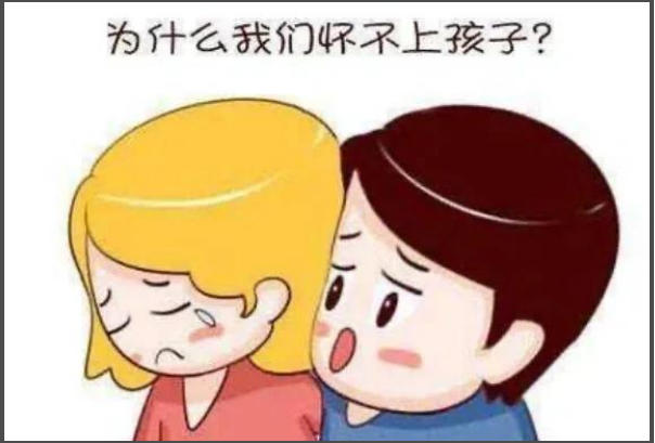 不孕检查男方和女方都要做