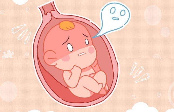 窘迫会导致胎儿死于腹中