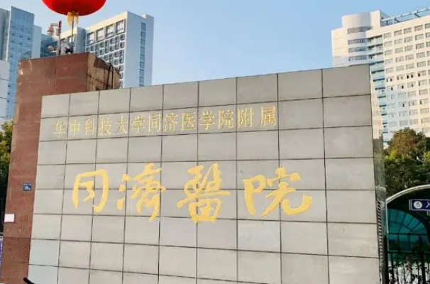 武汉同济医院章汉旺医生介绍，做试管婴儿水平都说好