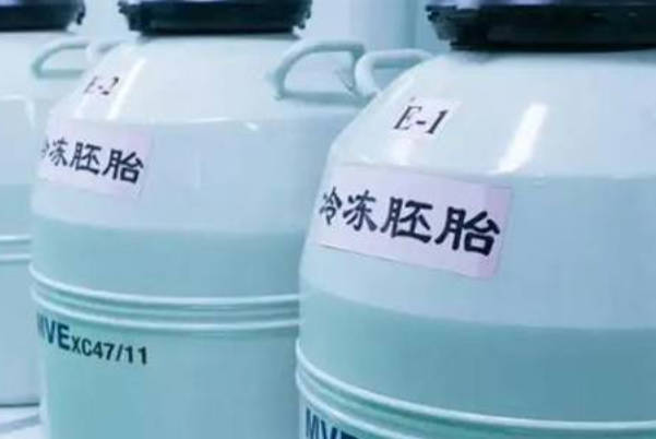 37岁女性卵子质量差做二代试管移植新鲜卵好还是冻卵，看完本文就知晓
