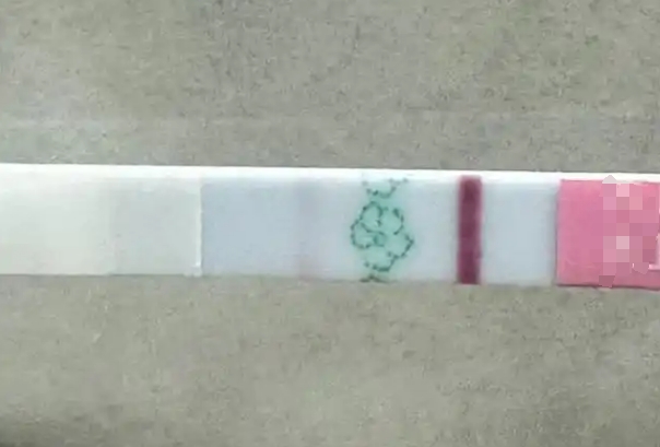 移植囊胚第十一天试纸测试结果颜色很浅是胚胎成功着床了吗?