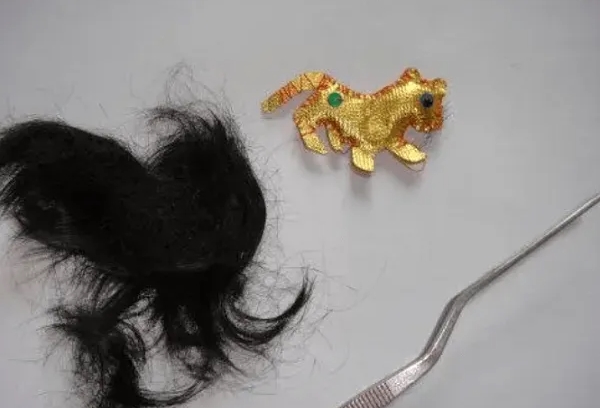 婴儿胎发通常很细软