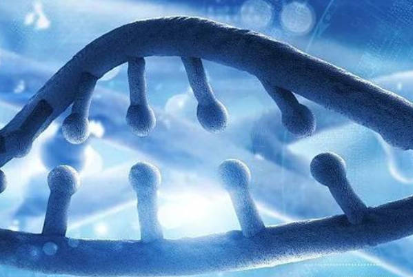 周口中心医院能否做三代试管，看看相关资质便清楚