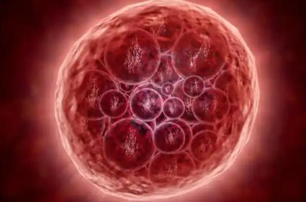 试管囊胚移植14天hcg对照表，数值解读与关键注意事项