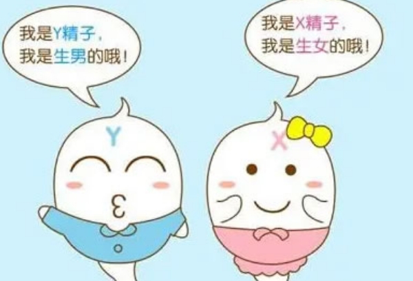孕妇的体型可以判断胎儿是男是女