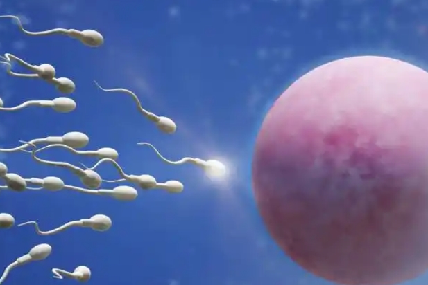 精子活力低适合二代试管