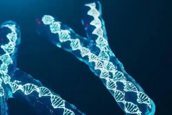 老公检查出y染色体c区缺失可以要个健康的男娃娃吗？