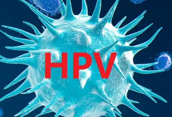 hpv感染不到一级能不能做试管怀孕？