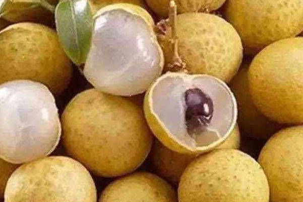 孕妇不能吃桂圆