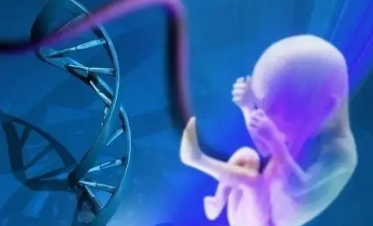 福州妇幼开展了所有人工辅助生殖技术