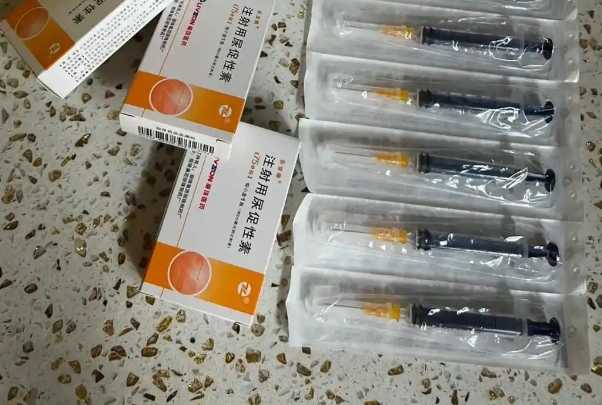 个体差异会影响卵泡的发育速度