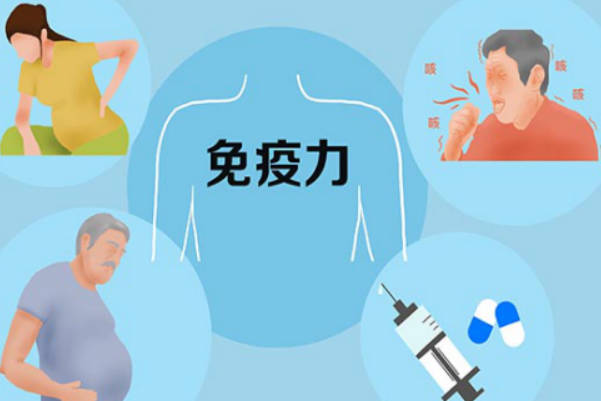 免疫力低下会不会影响试管婴儿胚胎移植成功率？