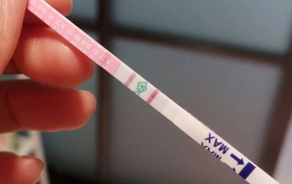 打绒促36小时后试纸一直显示强阳说明没排卵吗？