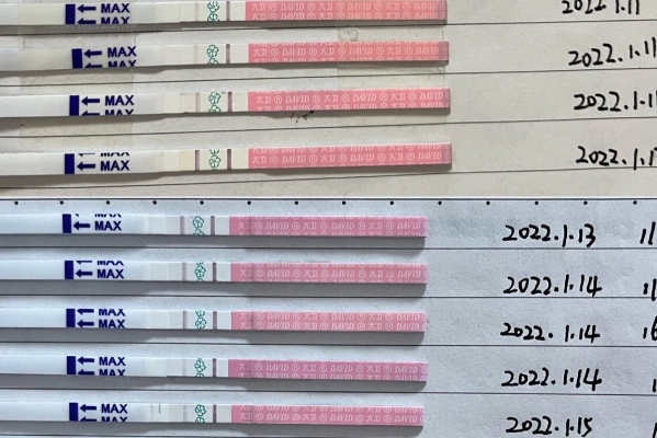 排卵试纸参照图全解析，备孕姐妹必看的实用指南