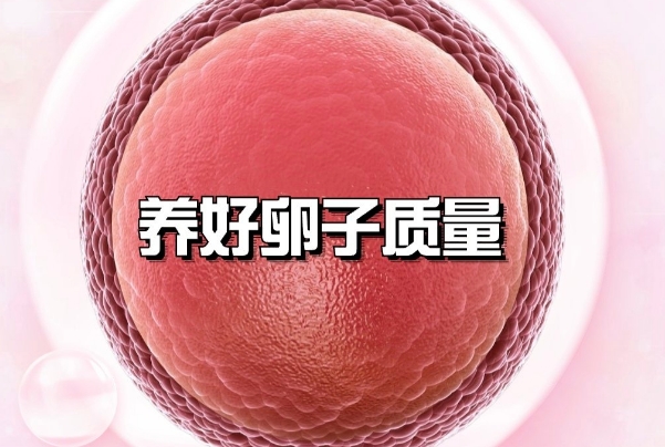 试管胚胎质量不好么并不代表没有生育的希望！