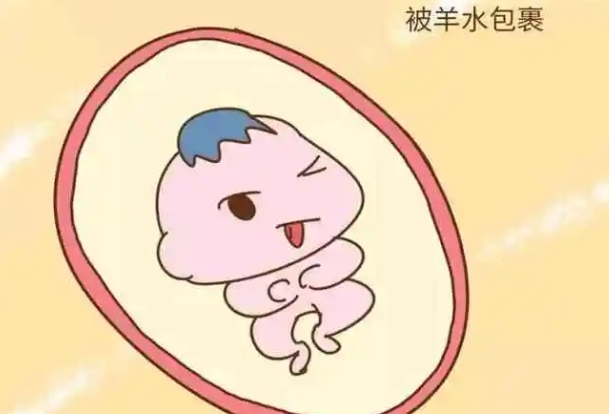 羊水过多的原因有很多
