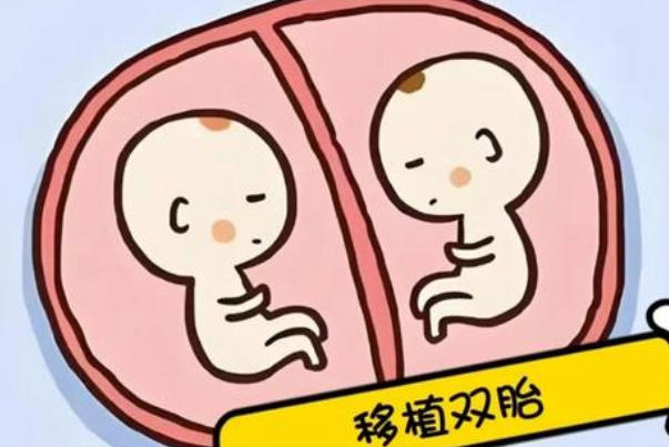 试管移植双胚胎不代表都会成活