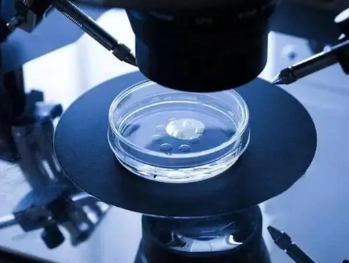 一代试管是精子和卵子自由结合
