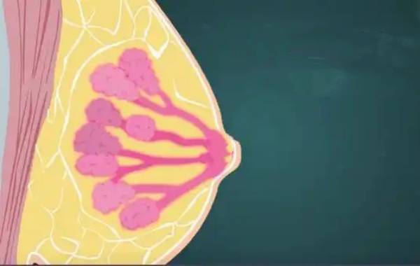 36岁女性乳腺BI一RADS三级可以做二代试管吗？