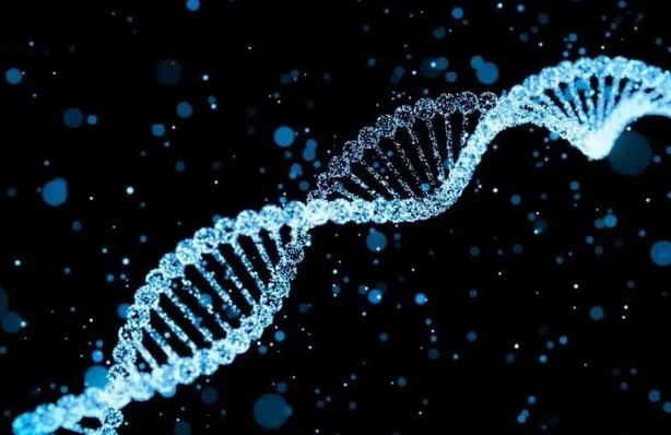dna检测有异常做试管怀孕应该选几代啊？