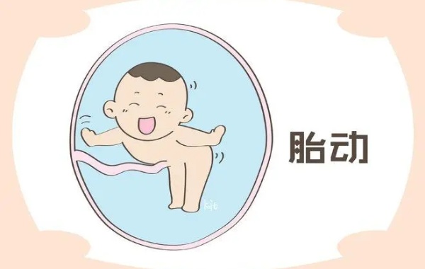 网传怀孕18周的胎动已经告诉了宝宝性别可信吗？