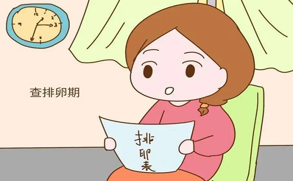 排卵期性生活有助于受孕