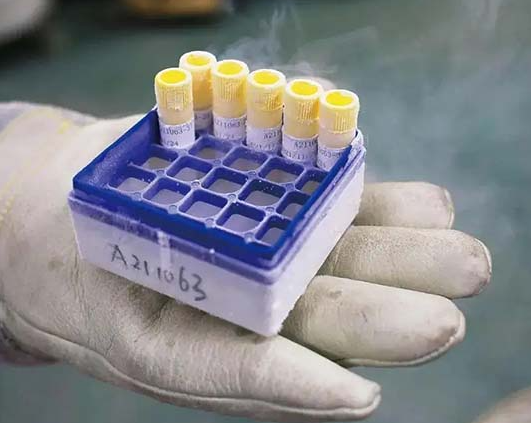 正规三甲医院精子库买精子是多少钱一个？