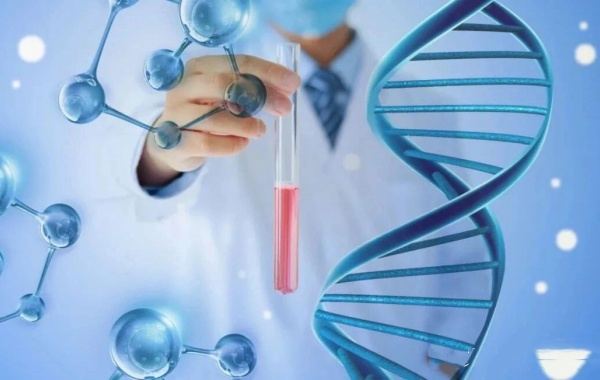 试管连续5次未着床没有必要继续