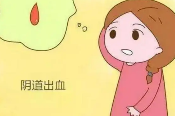 囊胚移植后会出现阴道出血