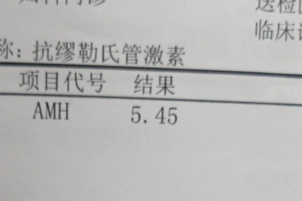 AMH值0.31真影响以后受孕，别激素六项正常也不好调理才哭