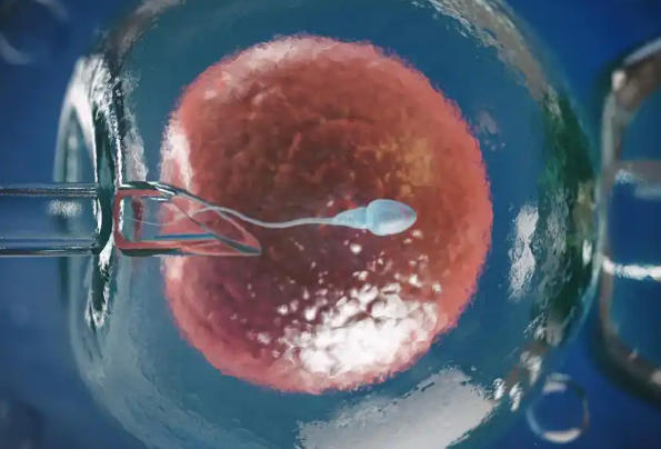 试管移植后没有感觉可能是正常的