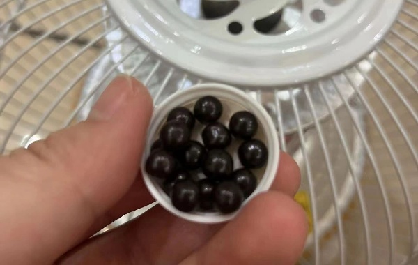 备孕期有人说要补中益气是拿你的肾气补中气吗？