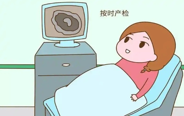 检查精子浓度活力形态等