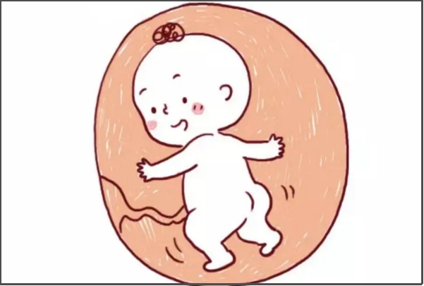 健康的饮食能提高受孕率