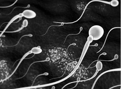 备孕时增强男人精子活力最快的4种方法，积极锻炼身体是关键