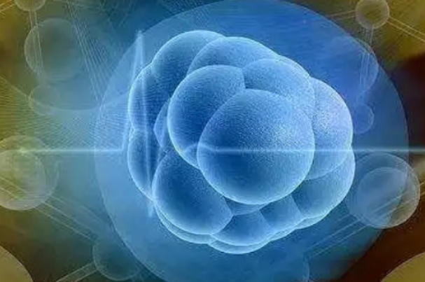 囊胚移植成功率因人而异